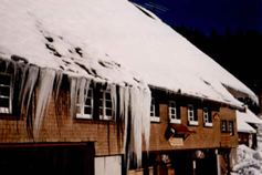 Der Mienihof im Winter