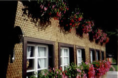 Schindelwand des Mienihofes mit Geranienpracht